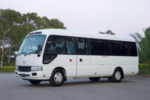 Read more about the article Minibus Rental with Driver Lyon: Best Group Travel Guide